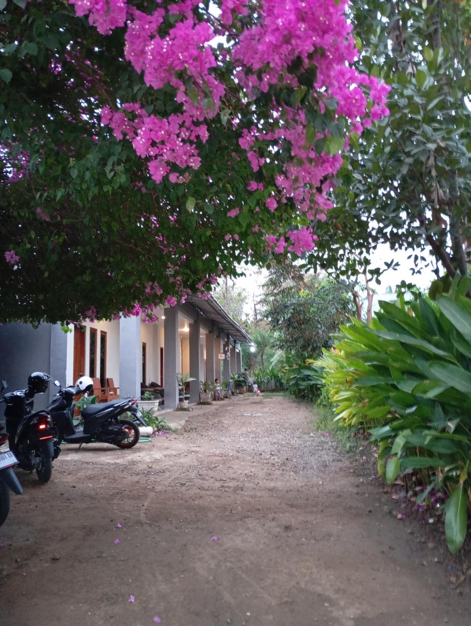Wl Guesthouse Лабуан-Баджо Екстер'єр фото