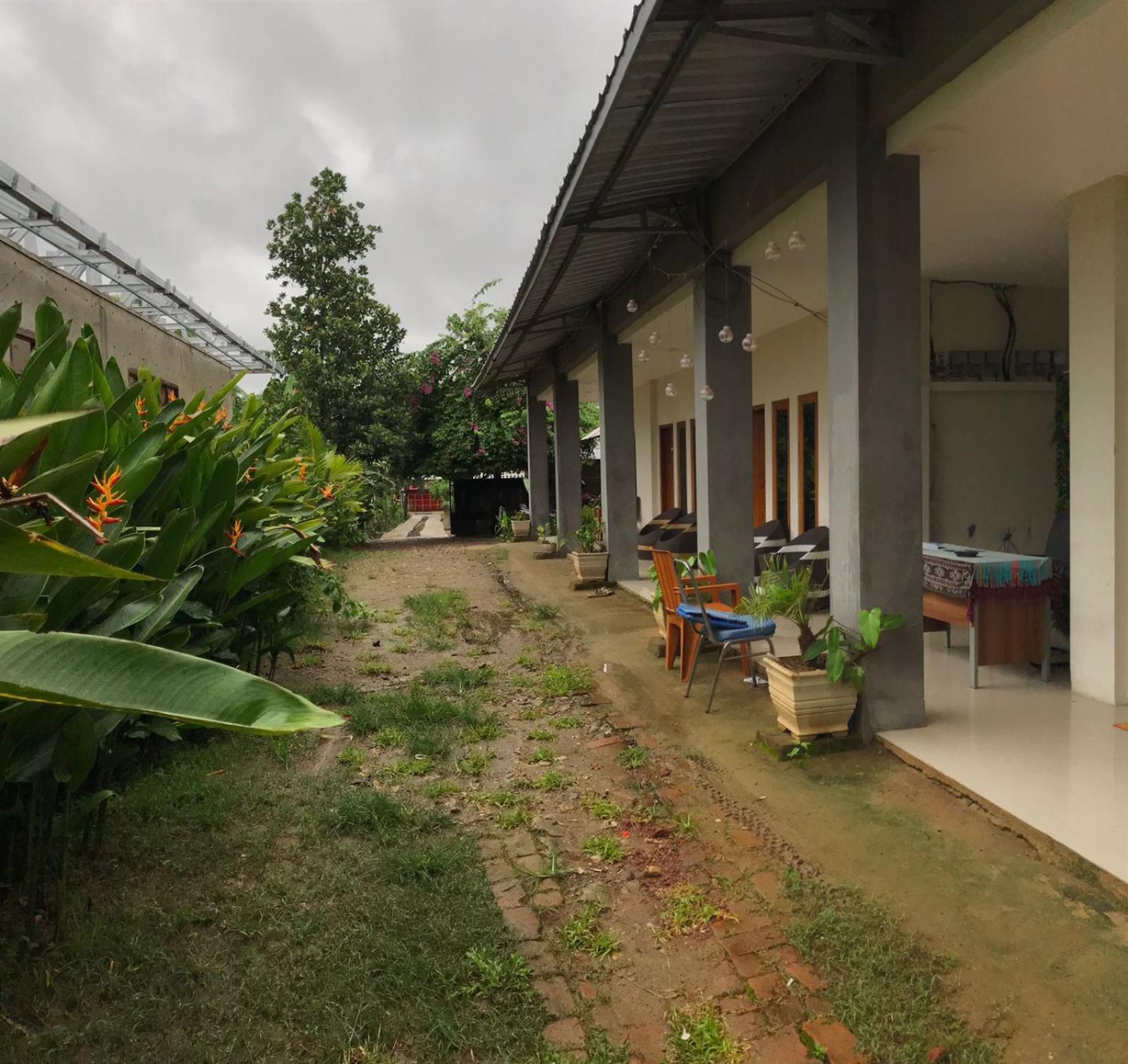 Wl Guesthouse Лабуан-Баджо Номер фото